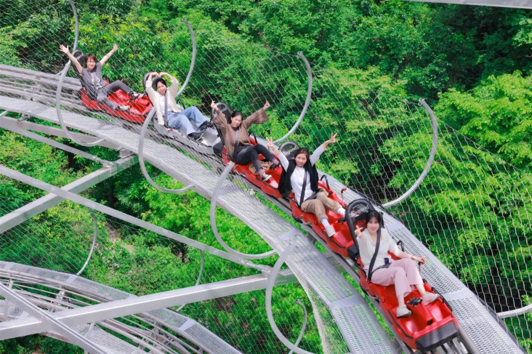 丛林滑道