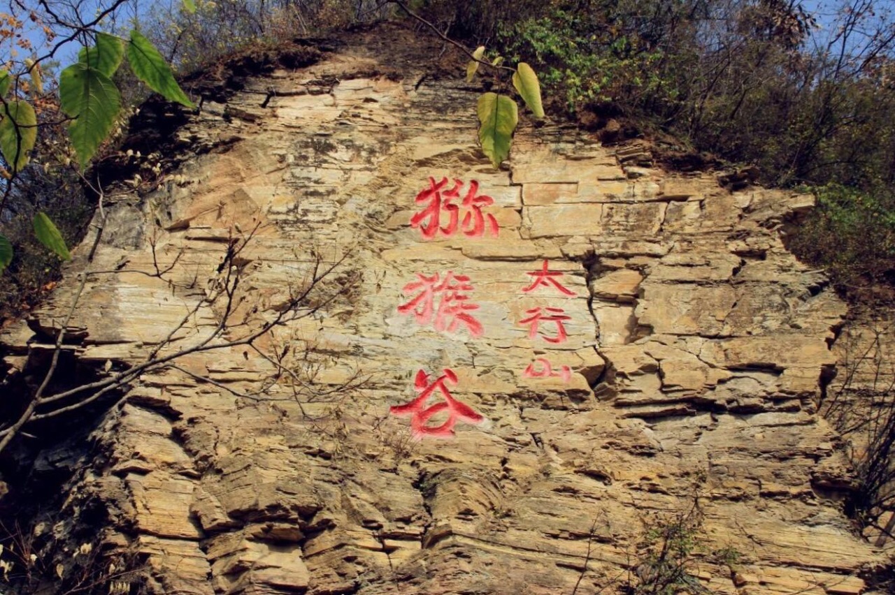 云台山猕猴谷，亲子乐园，野生猕猴家园