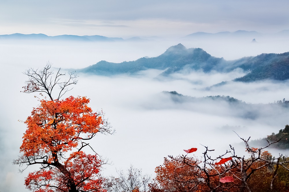云台山秋季
